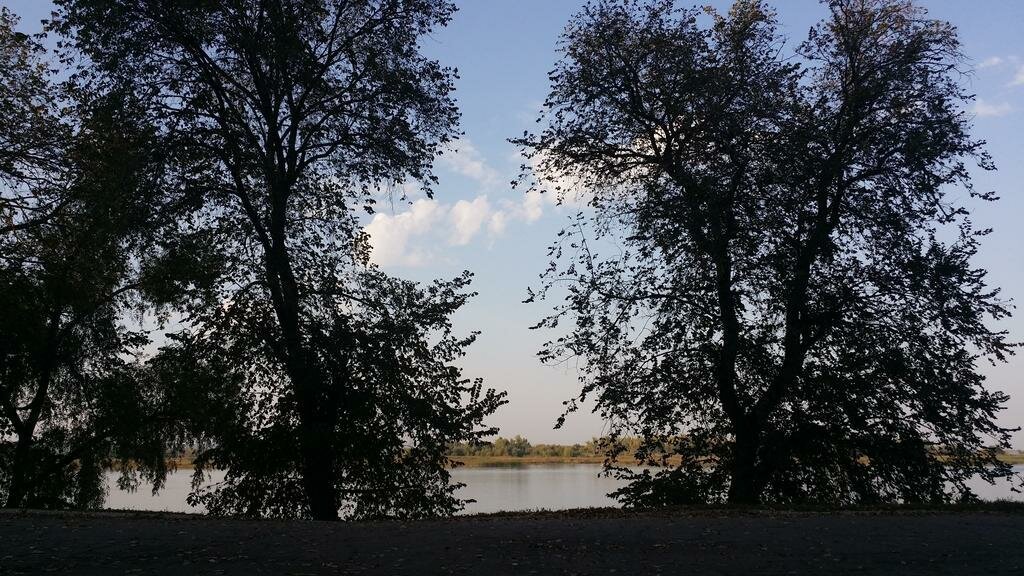 Гостиница Ялта Энгельс-24